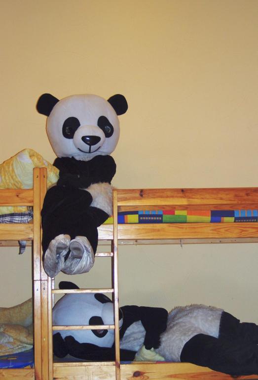 Panda Hostel Krakow