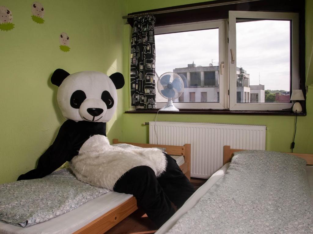 Panda Krakow